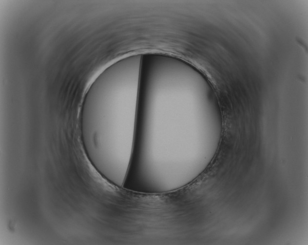 X0000092101524200709121059