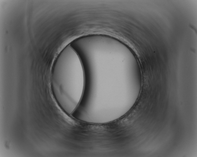 X0000092101525200709121059
