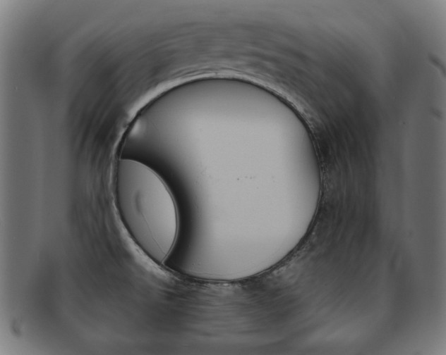 X0000092101526200709121059