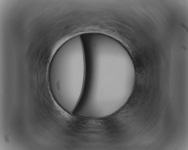 X0000092101527200709121059