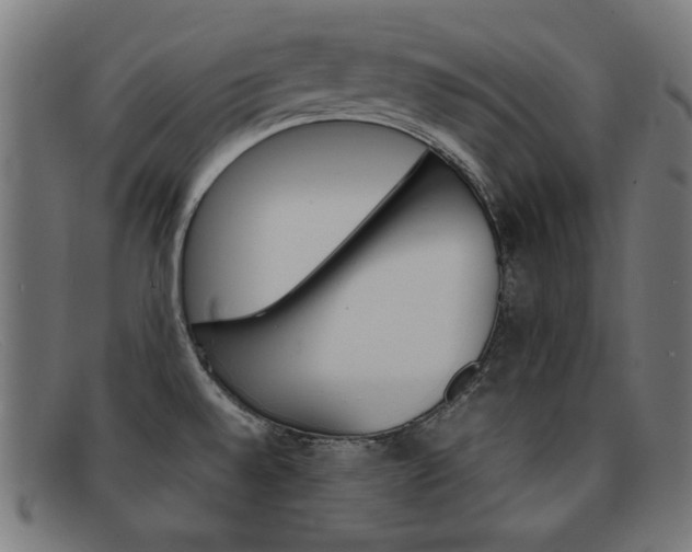 X0000092101528200709121059