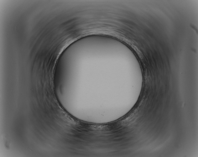 X0000092101529200709121059