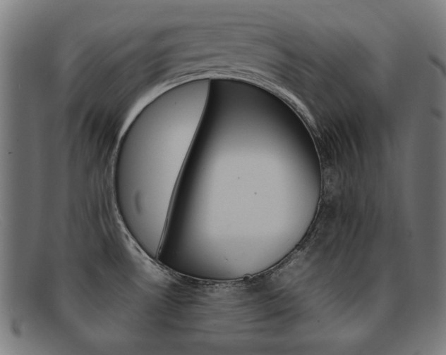 X0000092101530200709121059