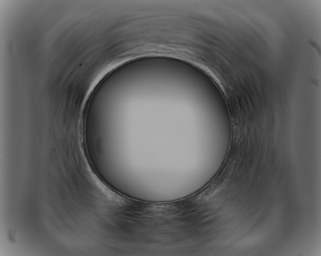 X0000092101531200709121059