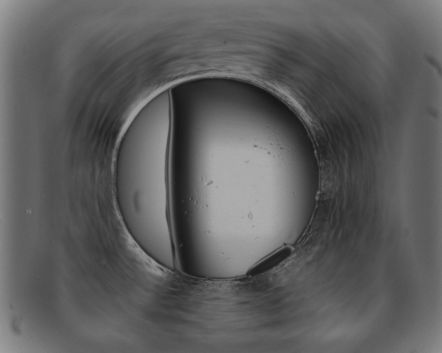 X0000092101532200709121059