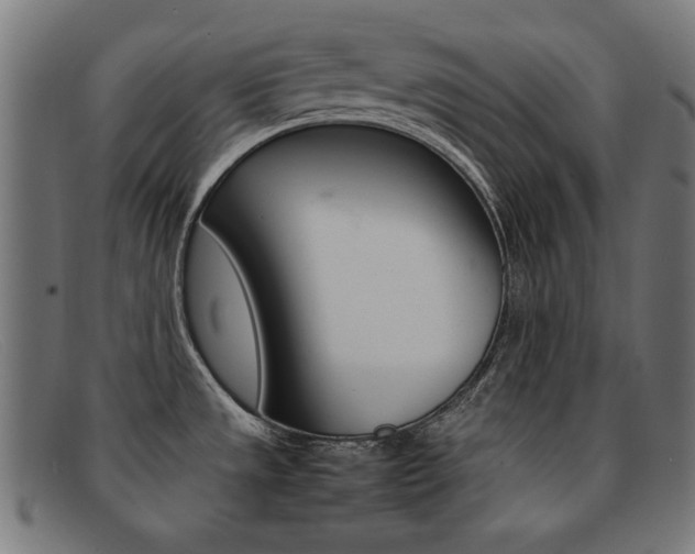X0000092101533200709121059