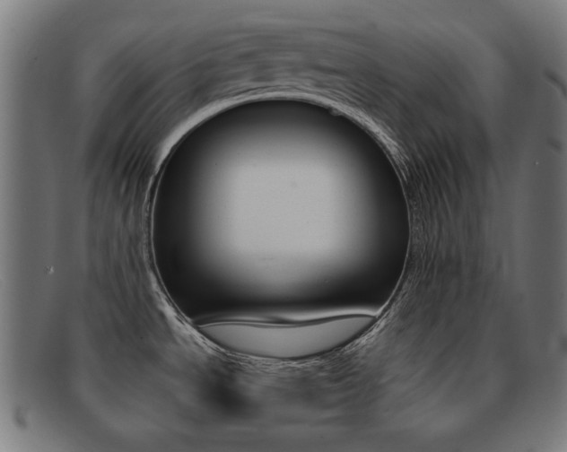 X0000092101534200709121059