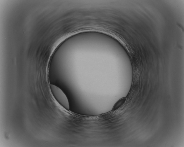 X0000092101535200709121059