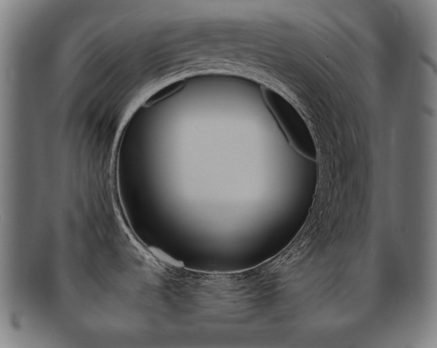 X0000092101536200709121059