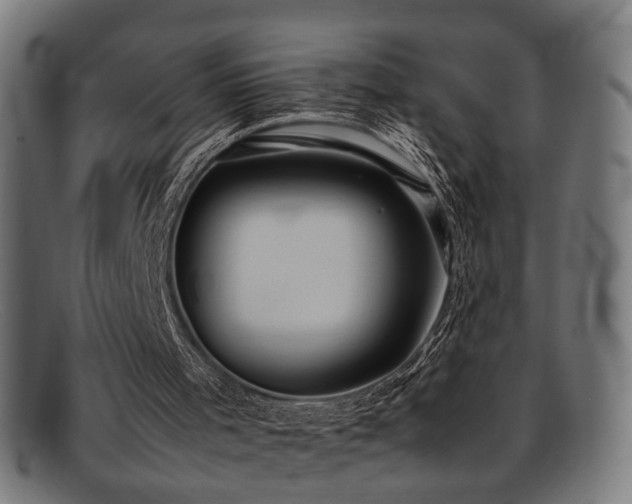 X0000092100001200709121553