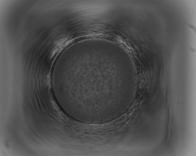 X0000092100002200709121553