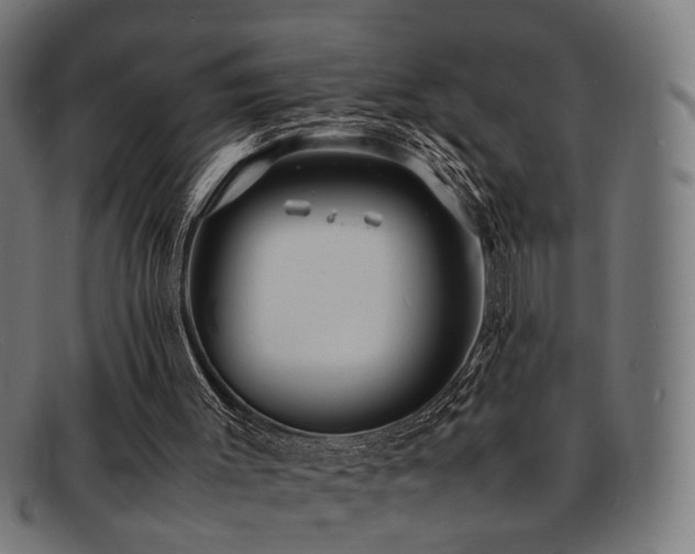 X0000092100003200709121553