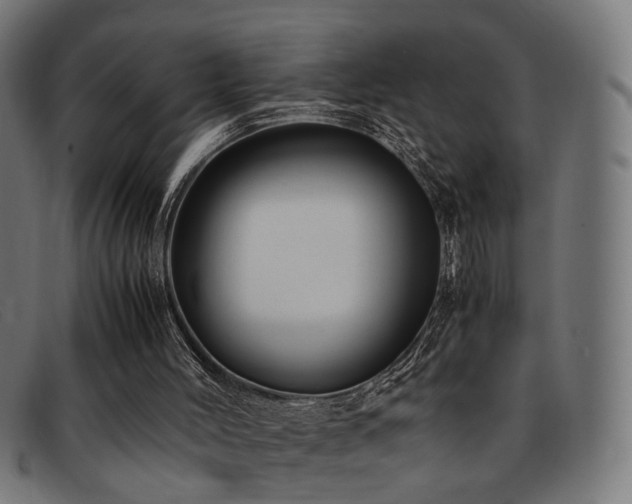 X0000092100004200709121553