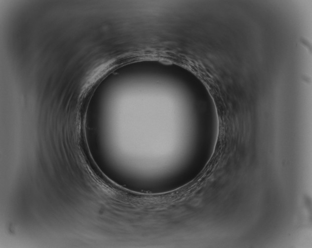 X0000092100005200709121553