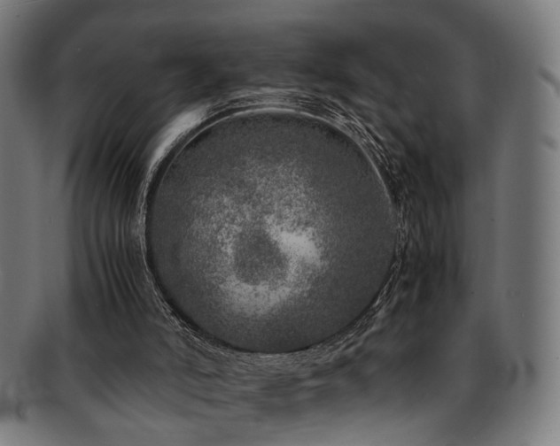 X0000092100006200709121553