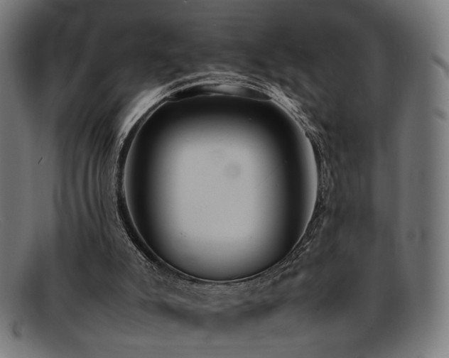 X0000092100007200709121553