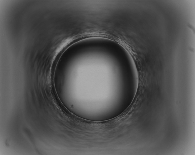 X0000092100008200709121553