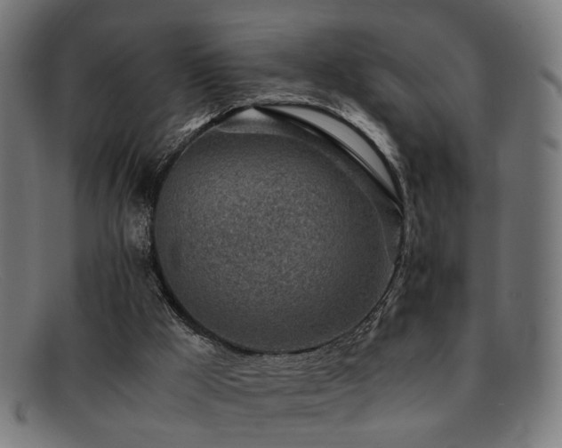 X0000092100009200709121553