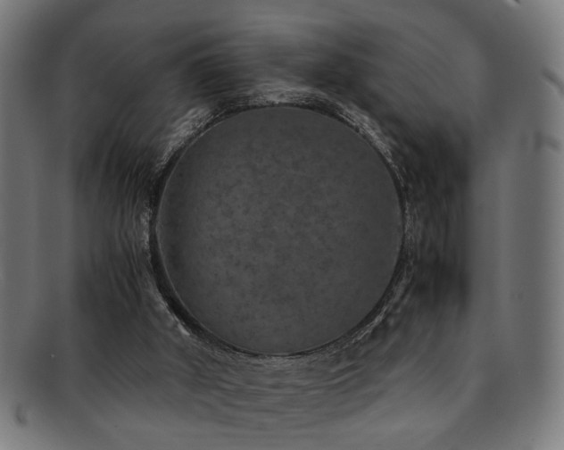 X0000092100010200709121553