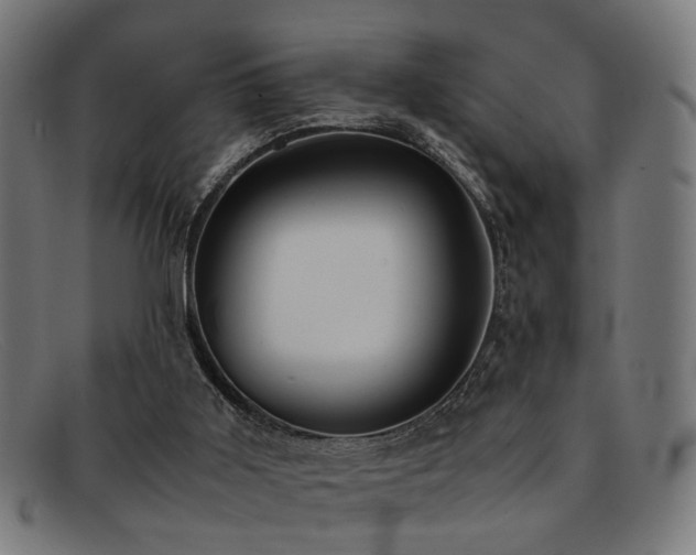 X0000092100011200709121553