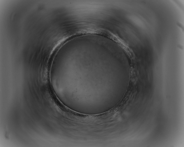 X0000092100012200709121553