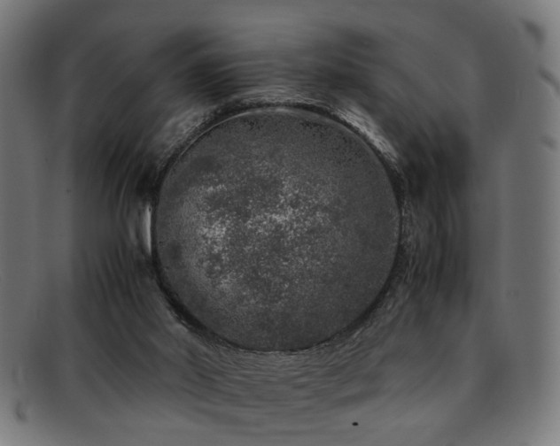 X0000092100014200709121552