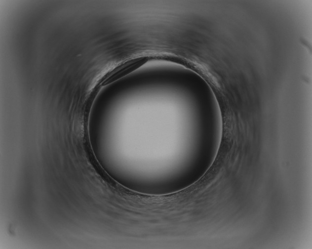 X0000092100015200709121552