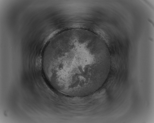 X0000092100016200709121552