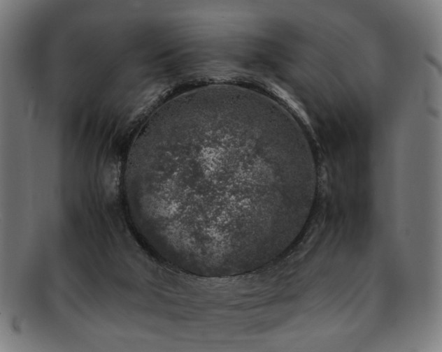 X0000092100018200709121552