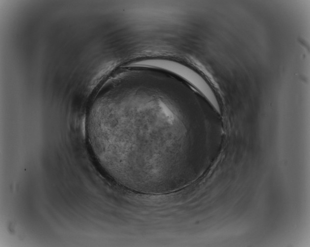 X0000092100019200709121552