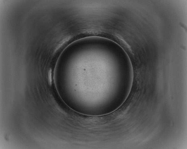 X0000092100020200709121552