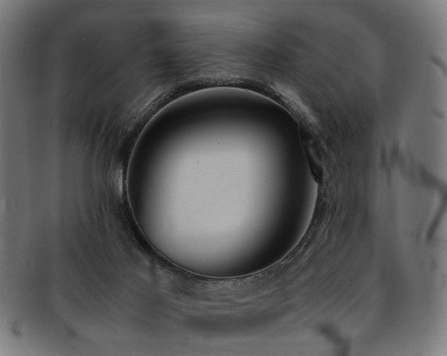 X0000092100021200709121552