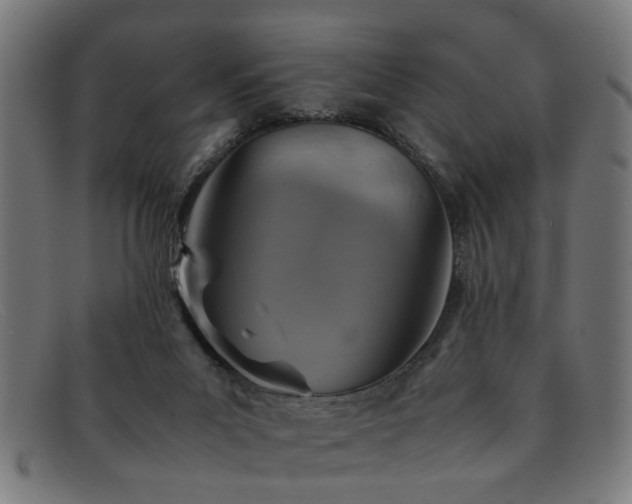 X0000092100023200709121552