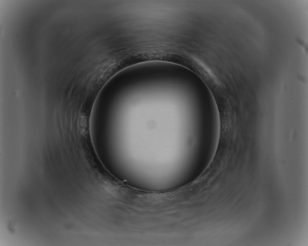 X0000092100025200709121552