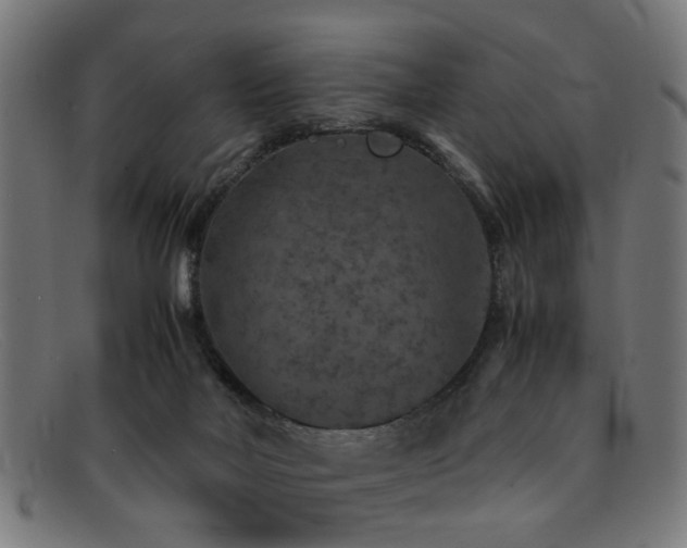 X0000092100026200709121552