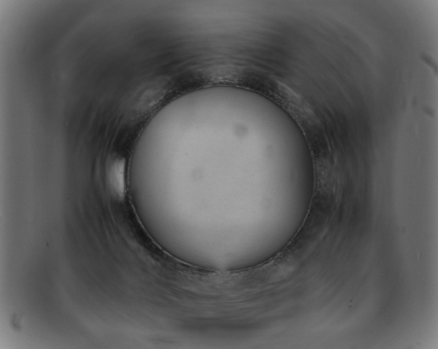 X0000092100028200709121552