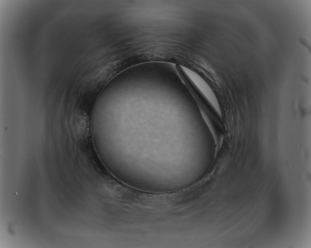 X0000092100029200709121552