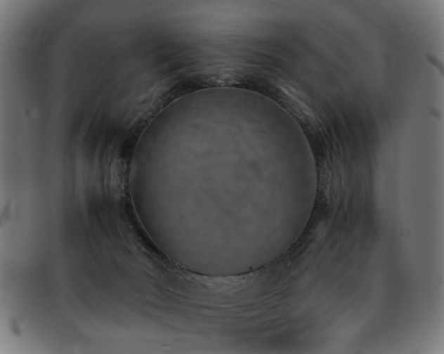 X0000092100030200709121552