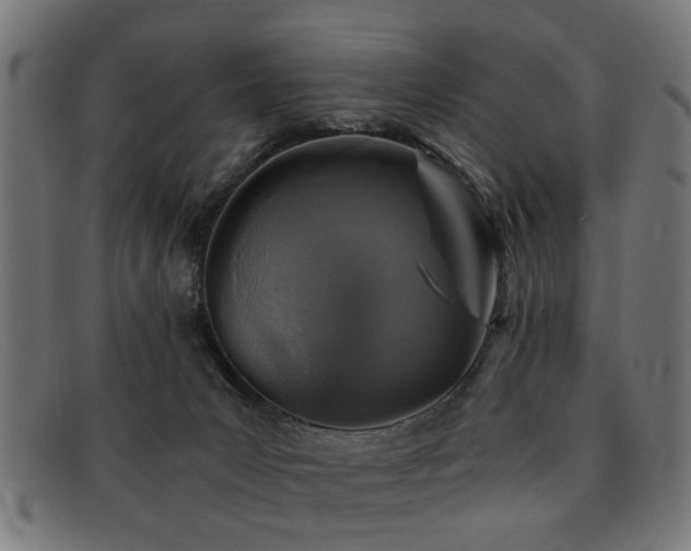 X0000092100031200709121552