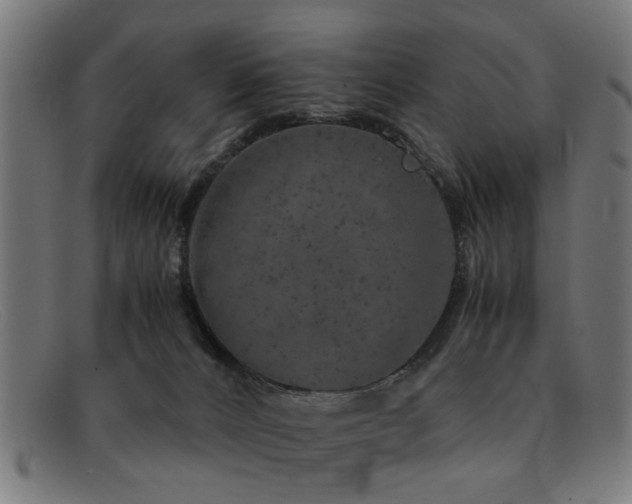 X0000092100032200709121552