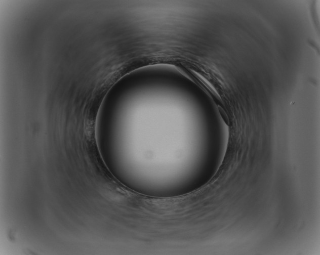 X0000092100033200709121552