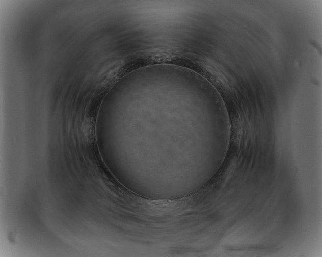 X0000092100034200709121552