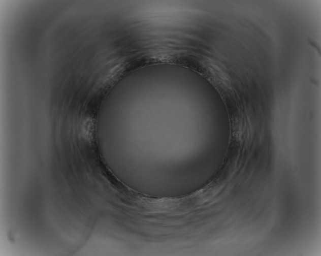 X0000092100036200709121552