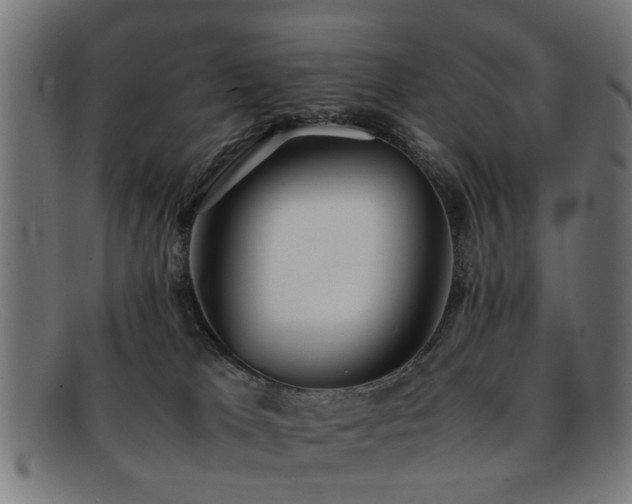 X0000092100037200709121552