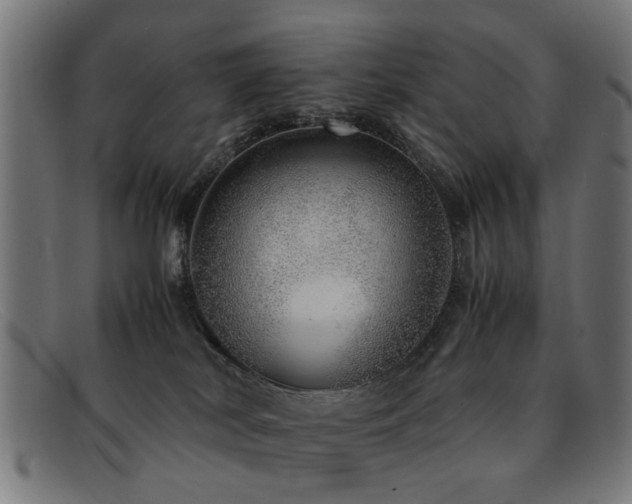 X0000092100038200709121552