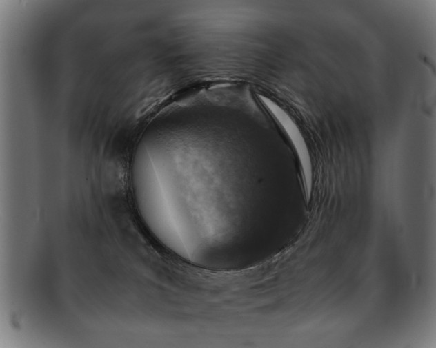 X0000092100039200709121552