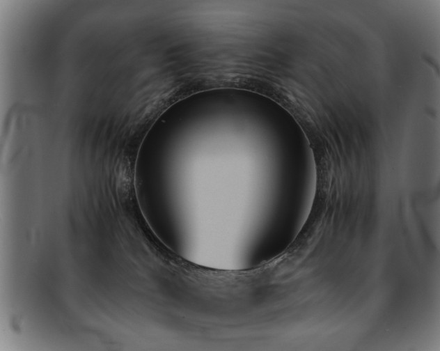 X0000092100040200709121552