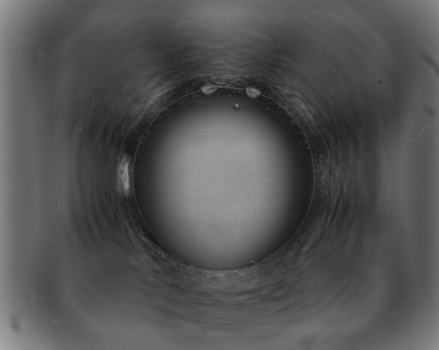 X0000092100042200709121552