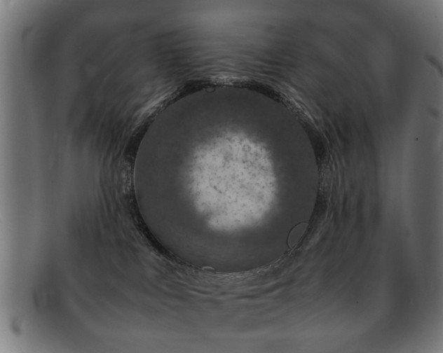 X0000092100043200709121552