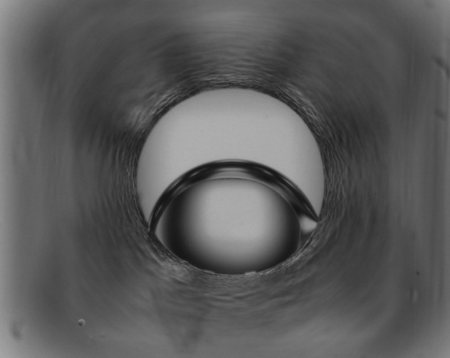 X0000092100045200709121552